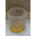 VASOS CHUPITOS ZARAGOZA